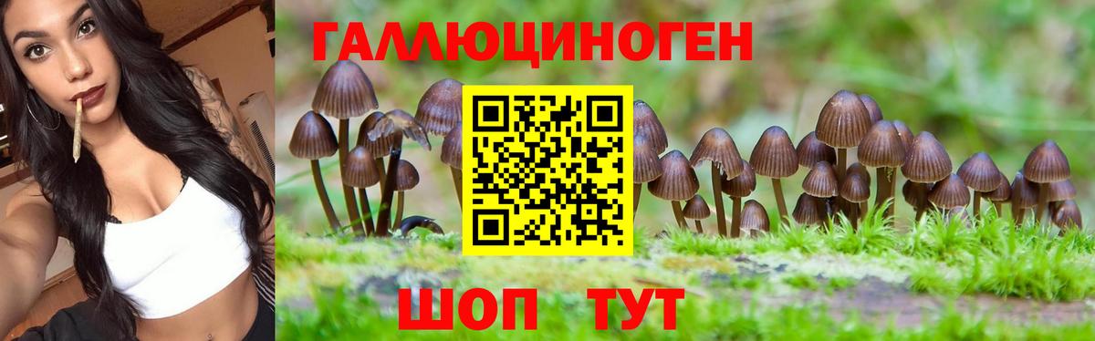 Галлюциногенные грибы мухоморы Можга
